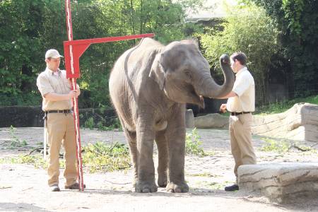 Hagenbeck Inventur 16052013 065