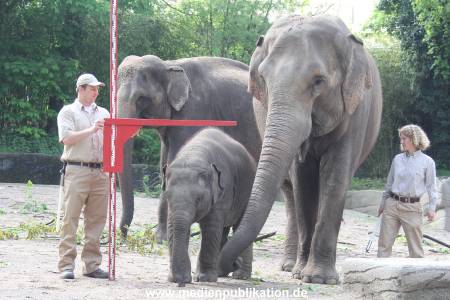 Hagenbeck Inventur 16052013 069