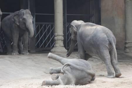 Hagenbeck Taufe 14092015 0001