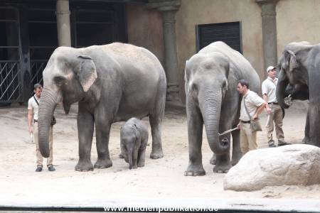 Hagenbeck Taufe 14092015 0002