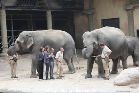 Hagenbeck Taufe 14092015 0007