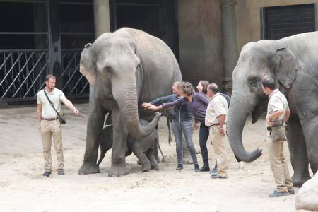 Hagenbeck Taufe 14092015 0009