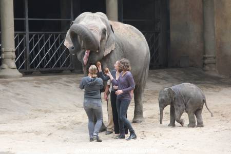 Hagenbeck Taufe 14092015 0022