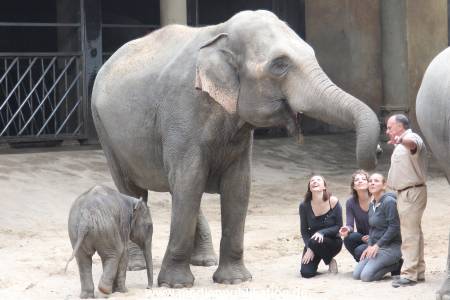 Hagenbeck Taufe 14092015 0032