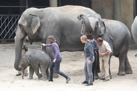 Hagenbeck Taufe 14092015 0042