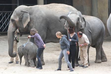 Hagenbeck Taufe 14092015 0045