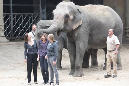 Hagenbeck Taufe 14092015 0064