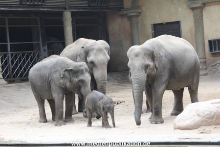 Hagenbeck Taufe 14092015 0084