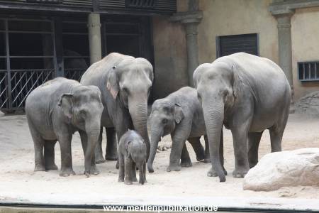 Hagenbeck Taufe 14092015 0086