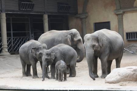Hagenbeck Taufe 14092015 0089