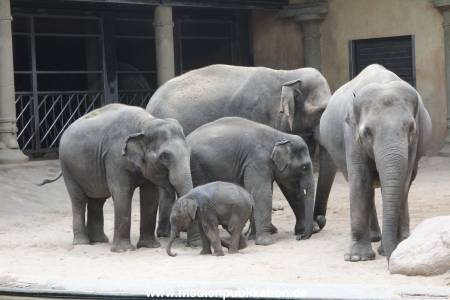 Hagenbeck Taufe 14092015 0091