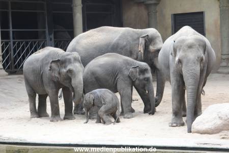 Hagenbeck Taufe 14092015 0093