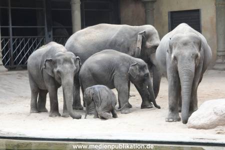 Hagenbeck Taufe 14092015 0095