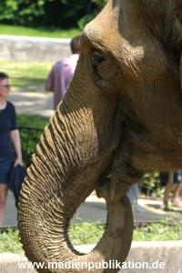 hagenbeck 05 03 038