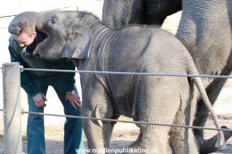 hagenbeck 20032005 026