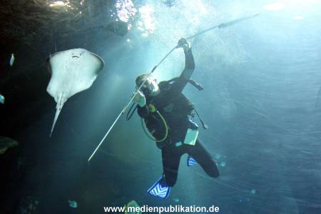 Hagenbeck 29112010 037