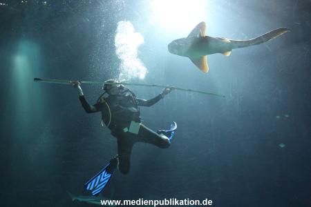 Hagenbeck 29112010 039