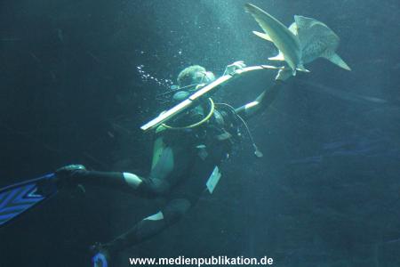 Hagenbeck 29112010 043