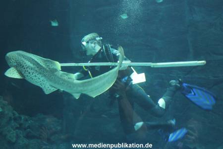 Hagenbeck 29112010 045