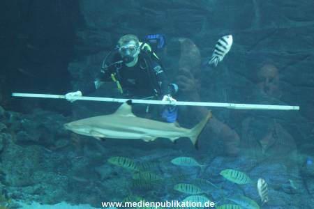 Hagenbeck 29112010 047