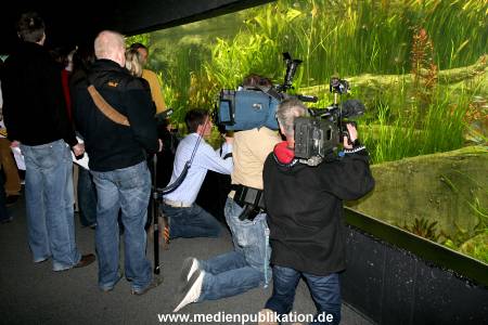 Hagenbeck Inventur 28122007 022