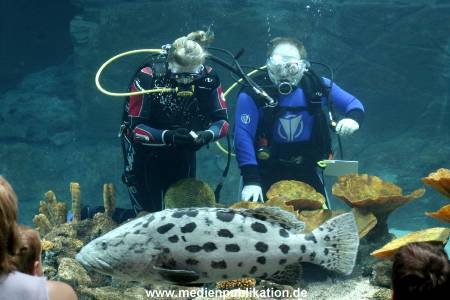 Hagenbeck Inventur 28122007 026