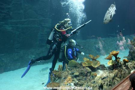 Hagenbeck Inventur 28122007 028
