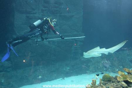 Hagenbeck Inventur 28122007 029