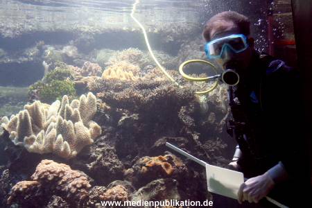 Hagenbeck Inventur 29122009 017