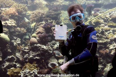 Hagenbeck Inventur 29122009 020