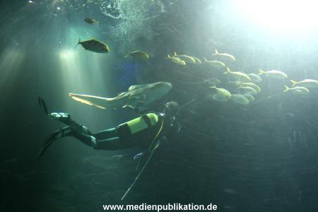 Hagenbeck Inventur 29122009 025