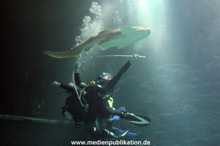 Hagenbeck Inventur 29122009 026
