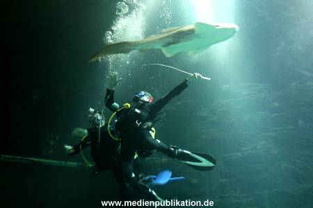 Hagenbeck Inventur 29122009 027