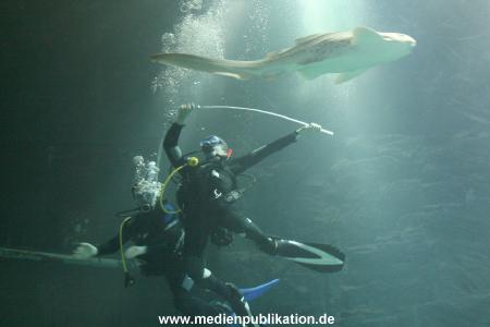Hagenbeck Inventur 29122009 028
