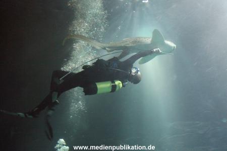 Hagenbeck Inventur 29122009 029