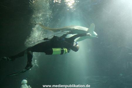 Hagenbeck Inventur 29122009 030
