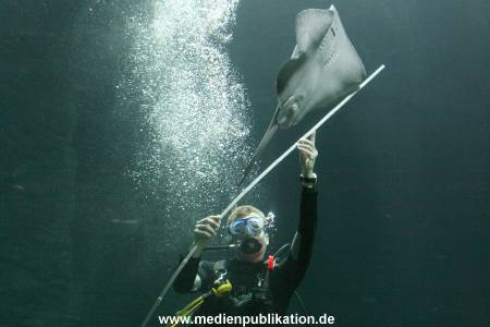 Hagenbeck Inventur 29122009 032
