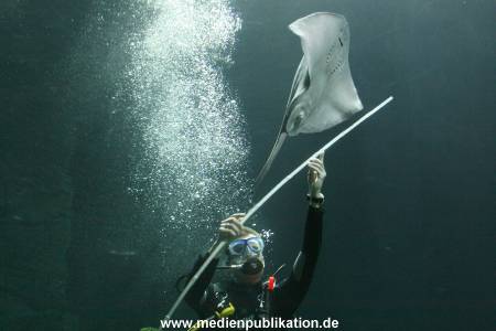 Hagenbeck Inventur 29122009 033