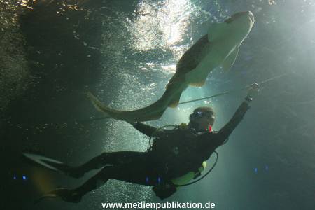 Hagenbeck Inventur 29122009 037