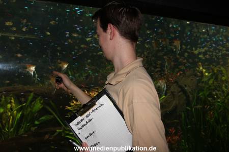 Hagenbeck Inventur 29122011 020