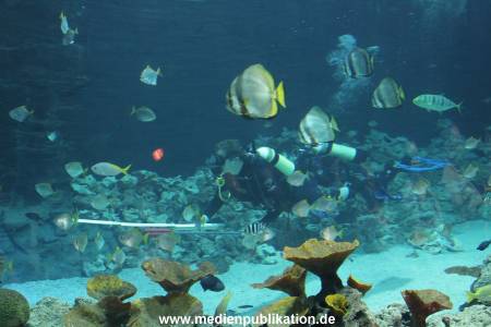 Hagenbeck Inventur 29122011 021