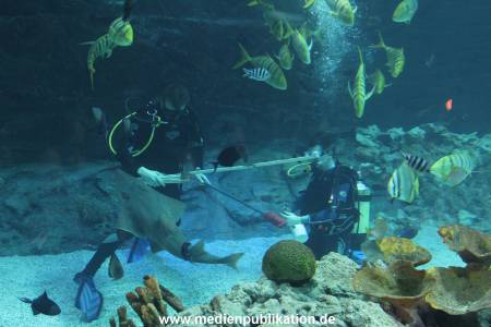 Hagenbeck Inventur 29122011 024