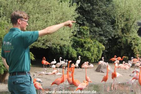 Hagenbeck Inventur 16052013 036