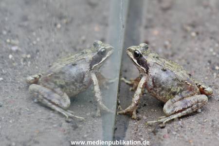 Hagenbeck 01082015 043