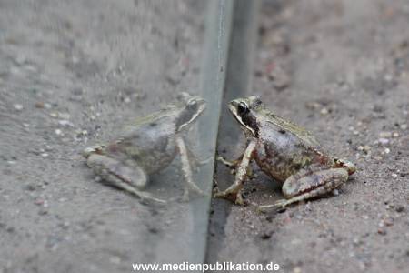 Hagenbeck 01082015 044