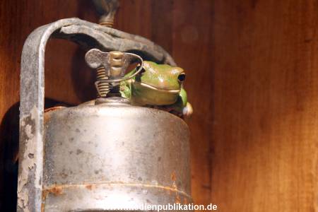 Hagenbeck Archiv 23052009 010