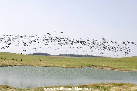 amrum 04 2005 006