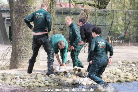 Hagenbeck Giraffenunfall 16042015 077