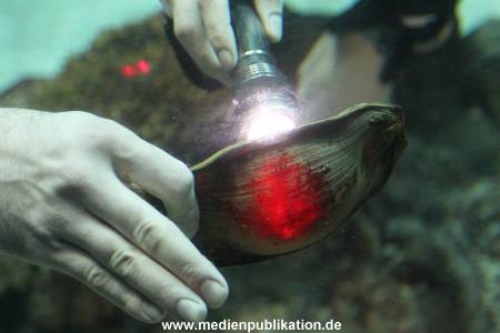 Hagenbeck Inventur 29122015 021