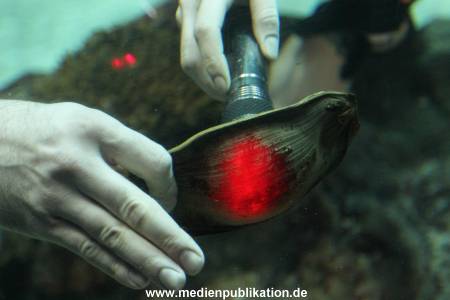 Hagenbeck Inventur 29122015 022